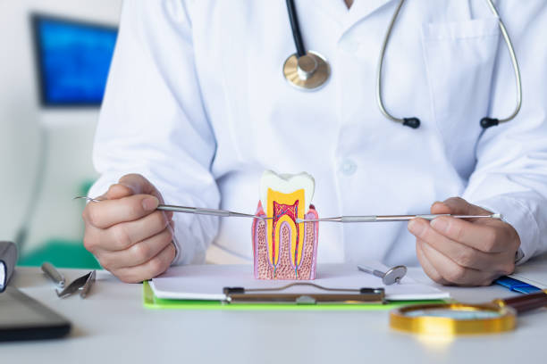 Best Emergency Denture Repair in Chambersburg, PA